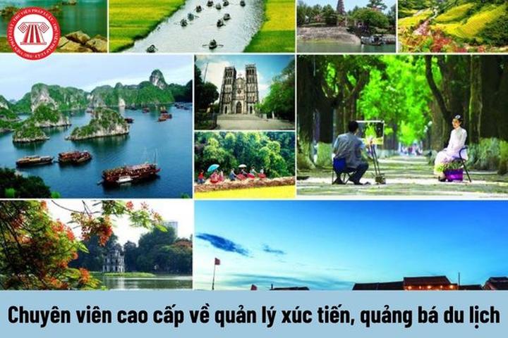 Từ Bé 12 tuổi sốc sốt xuất huyết đến chiến lược content: Hotspot Matrix chia sẻ