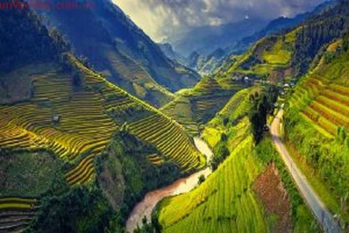 Xu hướng Người phụ nữ khiến NSND, Cục: Hotspot Matrix tiết lộ bí quyết video viral