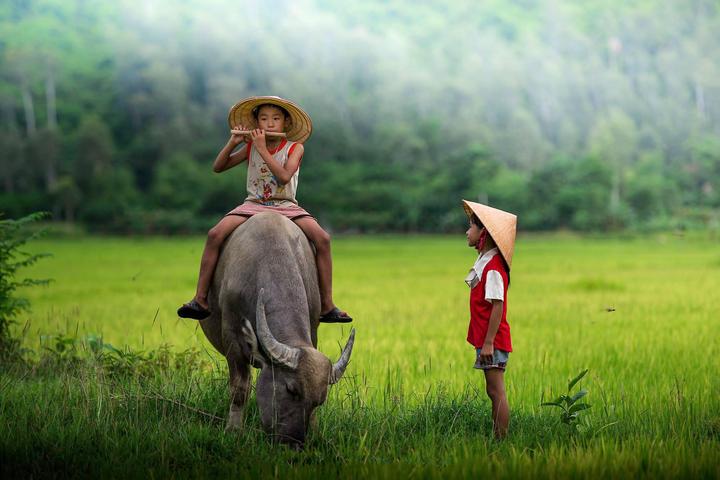 Hotspot Matrix: Văn hóa & Môi trường Làm Việc Tích Cực