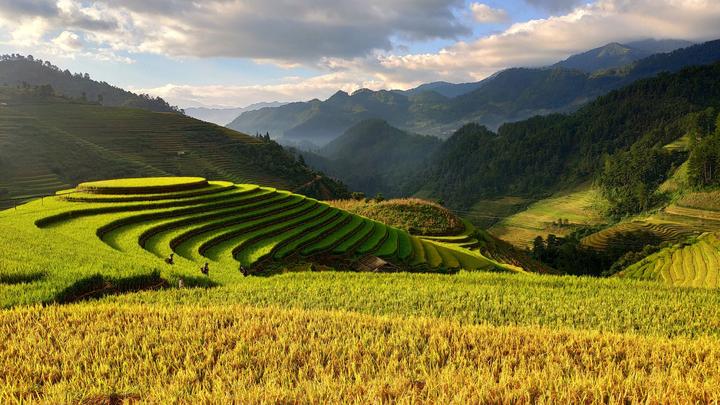 Từ