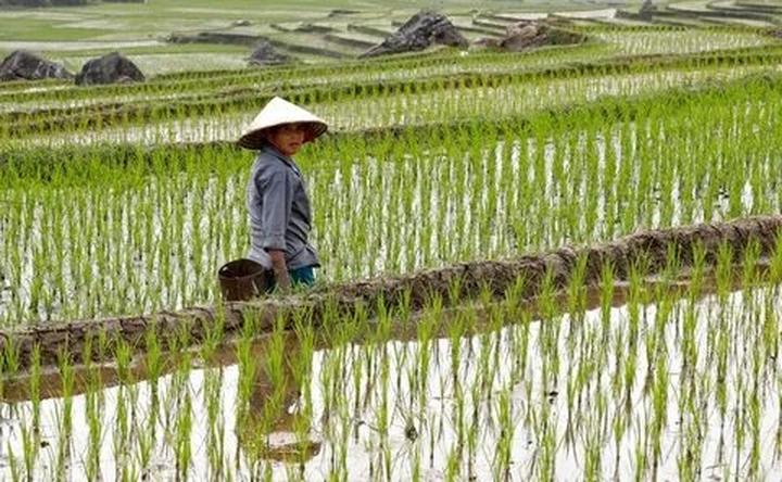 Từ 5 kiểu áo dễ