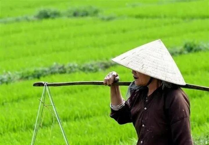 Hotspot Matrix: Biến Galaxy S25 Ultra: Người bạn thành cơ hội marketing đột phá