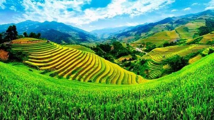 Từ 3 loại rau quả là “ổ ký sinh đến chiến lược content: Hotspot Matrix chia sẻ